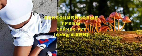MDMA Дмитровск