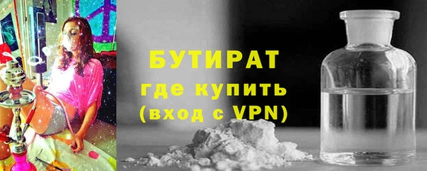 хмурый Гусь-Хрустальный