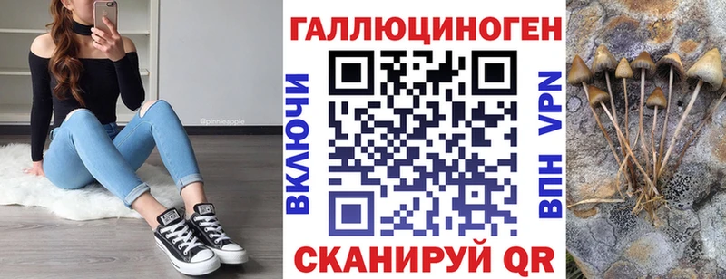 omg как зайти  купить  цена  Сельцо  Псилоцибиновые грибы Magic Shrooms 